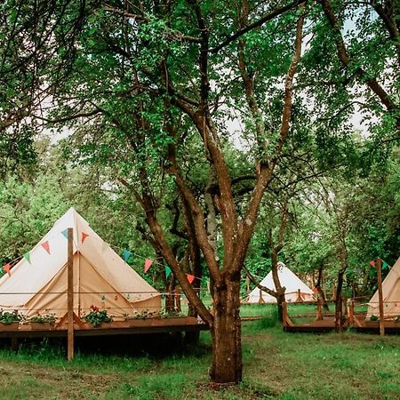My Lake Glamping Dalnic Bagian luar foto