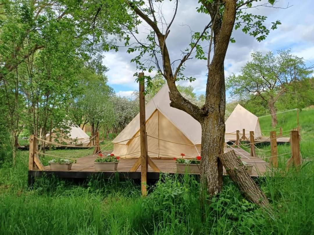 My Lake Glamping Dalnic Bagian luar foto