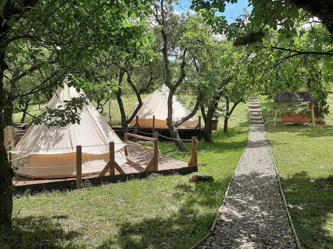 My Lake Glamping Dalnic Bagian luar foto
