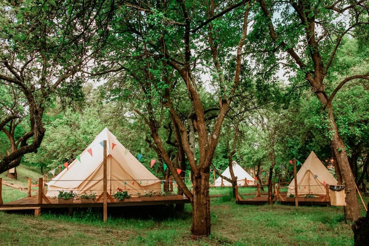 My Lake Glamping Dalnic Bagian luar foto