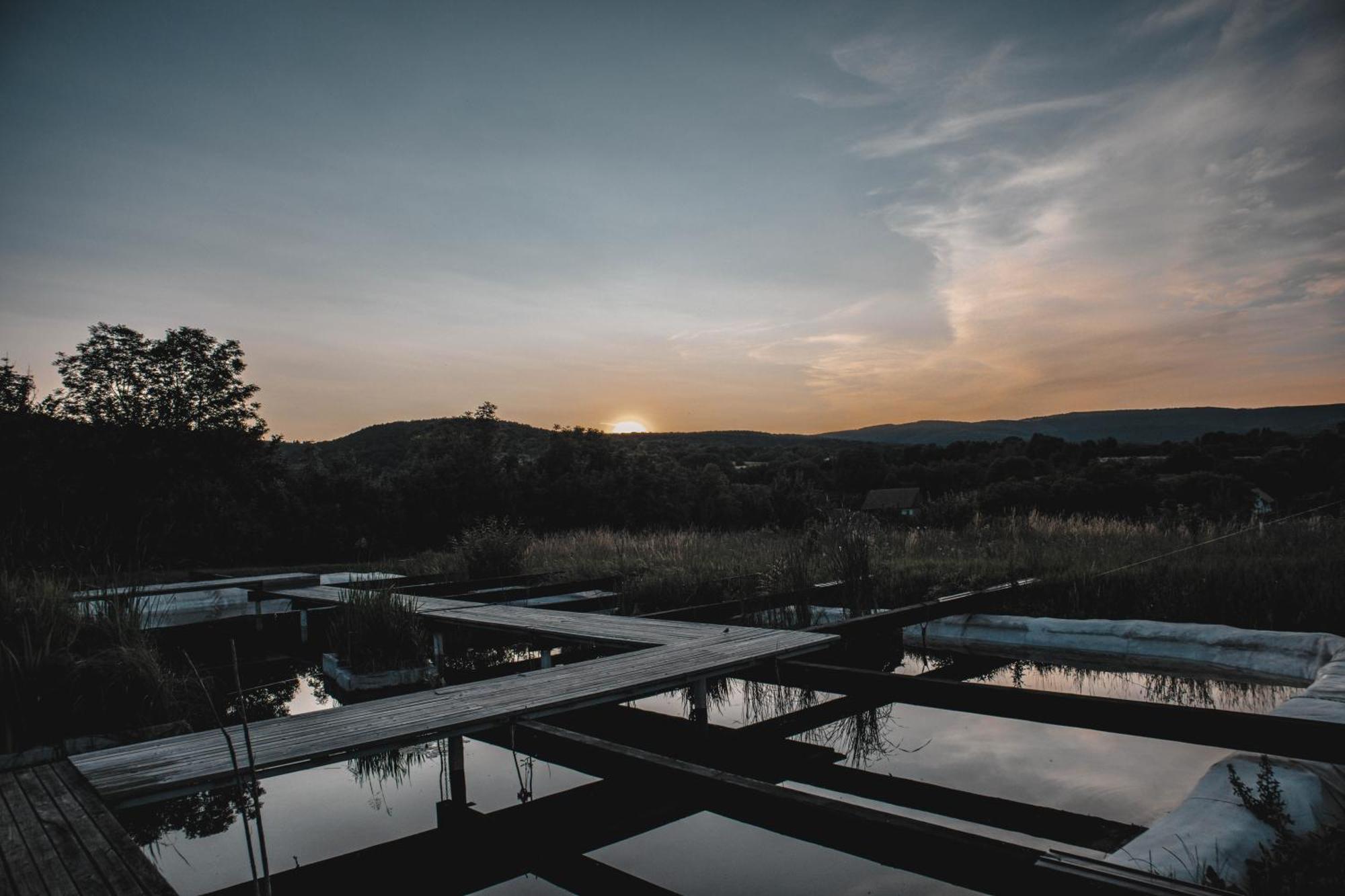 My Lake Glamping Dalnic Bagian luar foto
