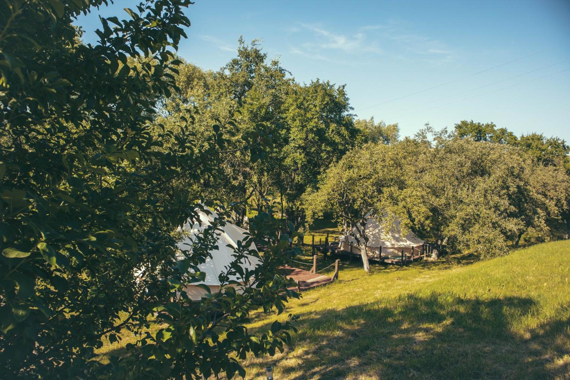 My Lake Glamping Dalnic Bagian luar foto