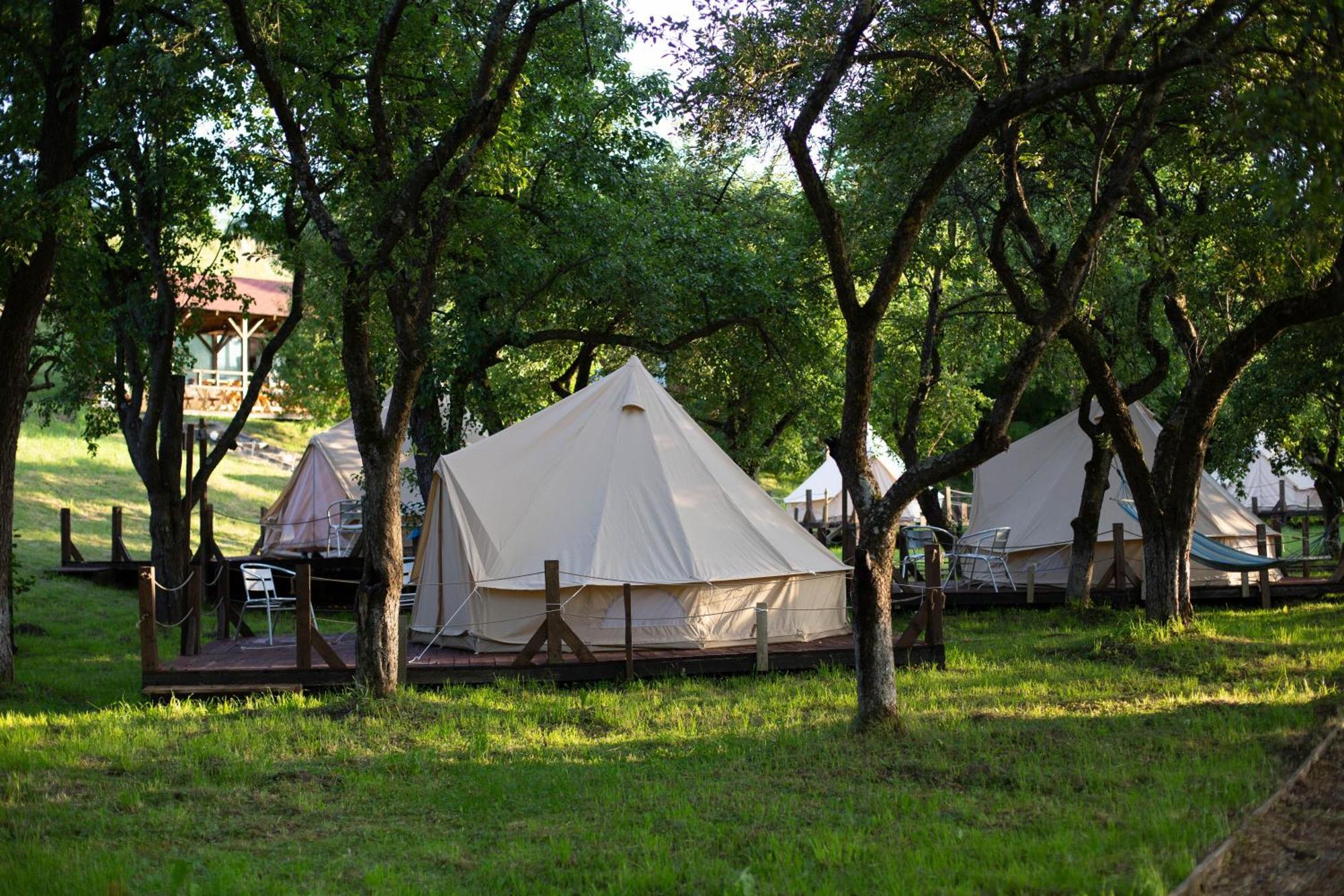 My Lake Glamping Dalnic Bagian luar foto