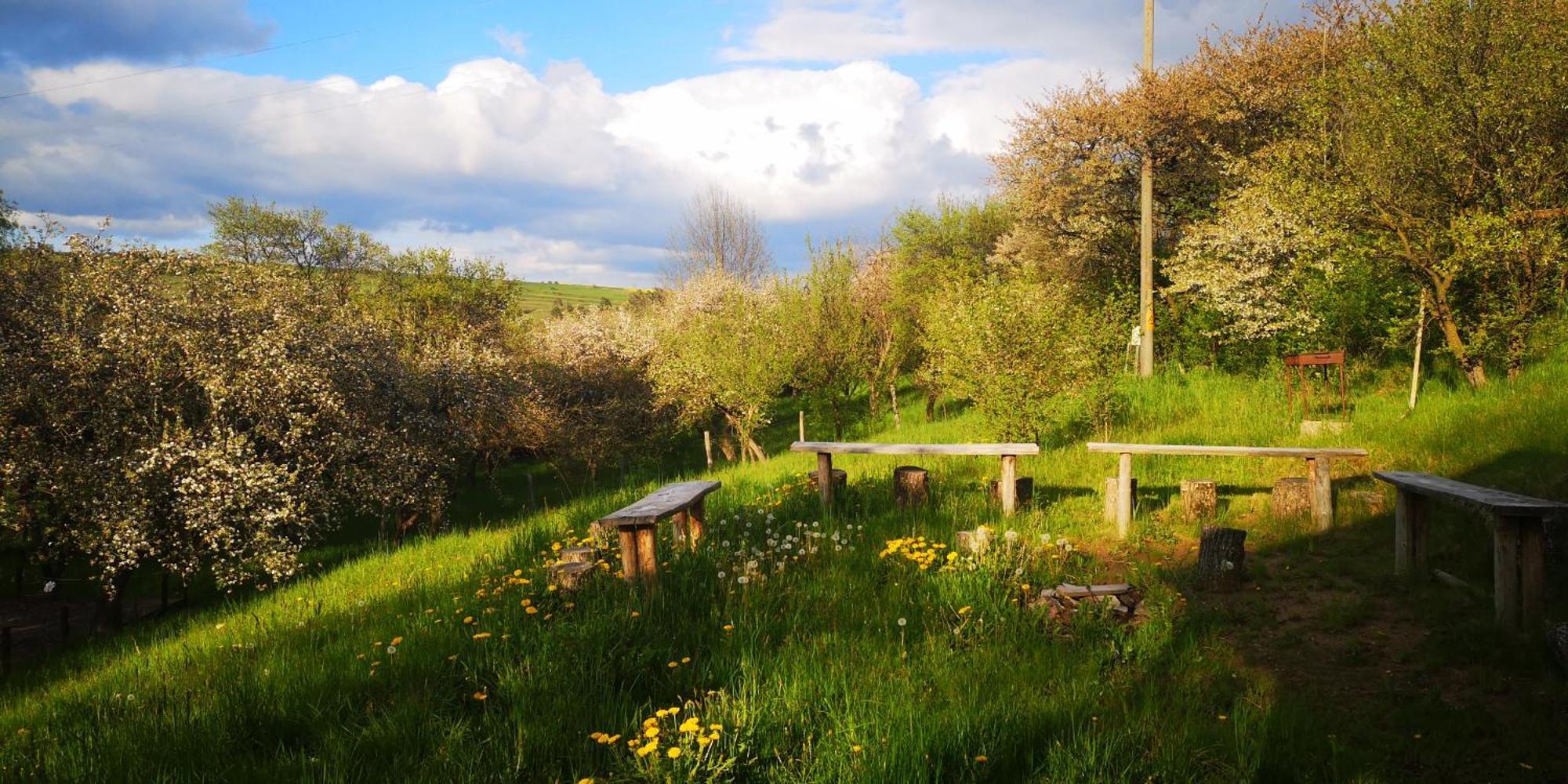 My Lake Glamping Dalnic Bagian luar foto