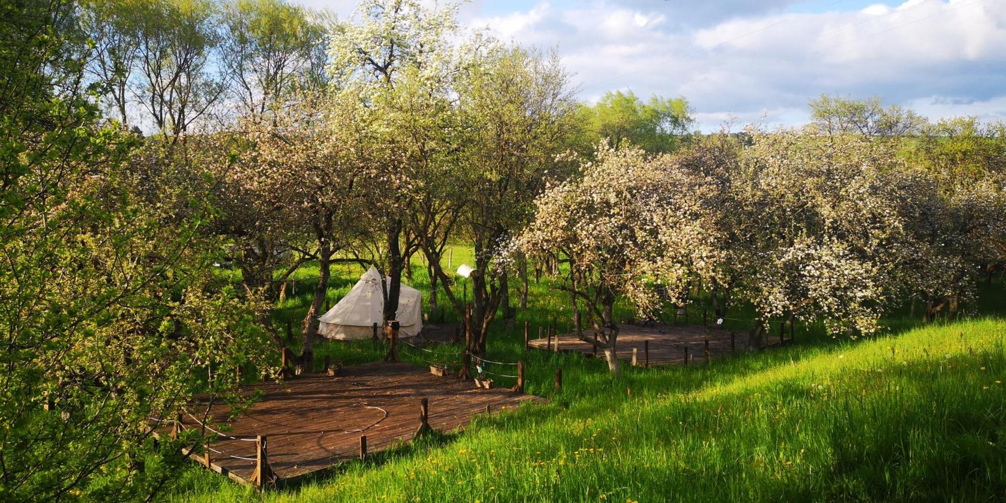 My Lake Glamping Dalnic Bagian luar foto